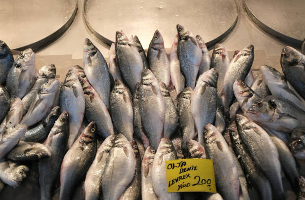 Wholesale Fishing Goods: Everything Retailers Need to Know